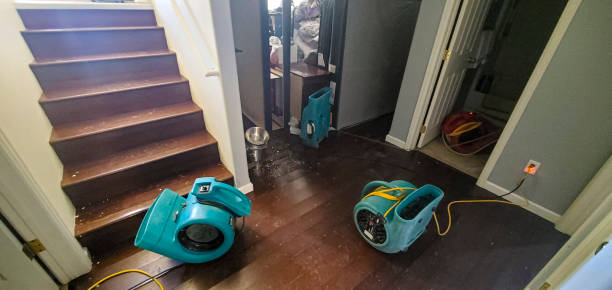 Best Ceiling water damage repair  in Randolph Af, TX