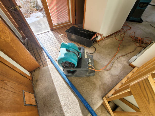Best Flood damage cleanup  in Randolph Af, TX